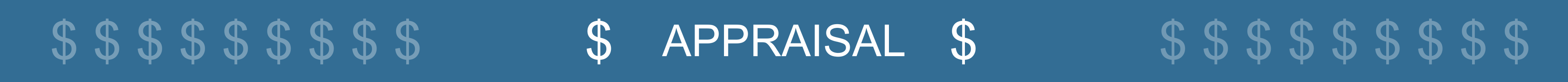 APPRAISER GRAPHIC SEPARATOR